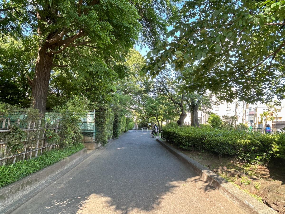 世田谷区大原の賃貸物件/目の前を通る緑道。これからの季節を目掛け、植物たちもいきいきとしていました