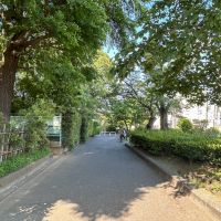 世田谷区大原の賃貸物件/目の前を通る緑道。これからの季節を目掛け、植物たちもいきいきとしていました