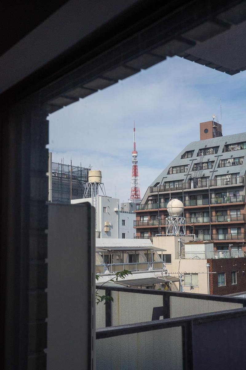 港区元麻布の賃貸物件/東京タワーを望む