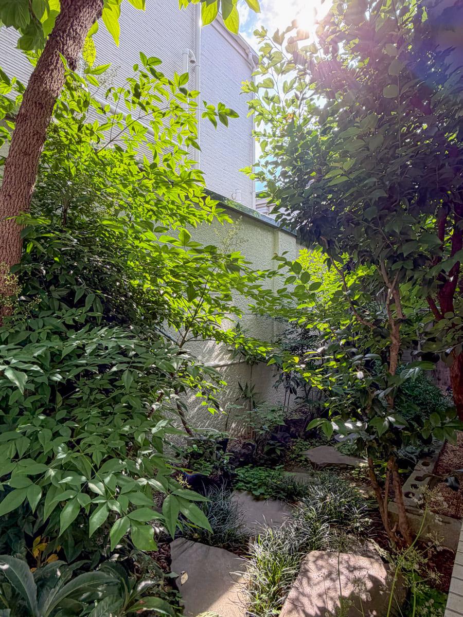 東京都世田谷区尾山台の賃貸物件/裏庭。植木の剪定は貸主がやってくれます。※雑草などは自身での手入れが必要です