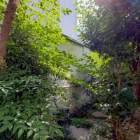東京都世田谷区尾山台の賃貸物件/裏庭。植木の剪定は貸主がやってくれます。※雑草などは自身での手入れが必要です