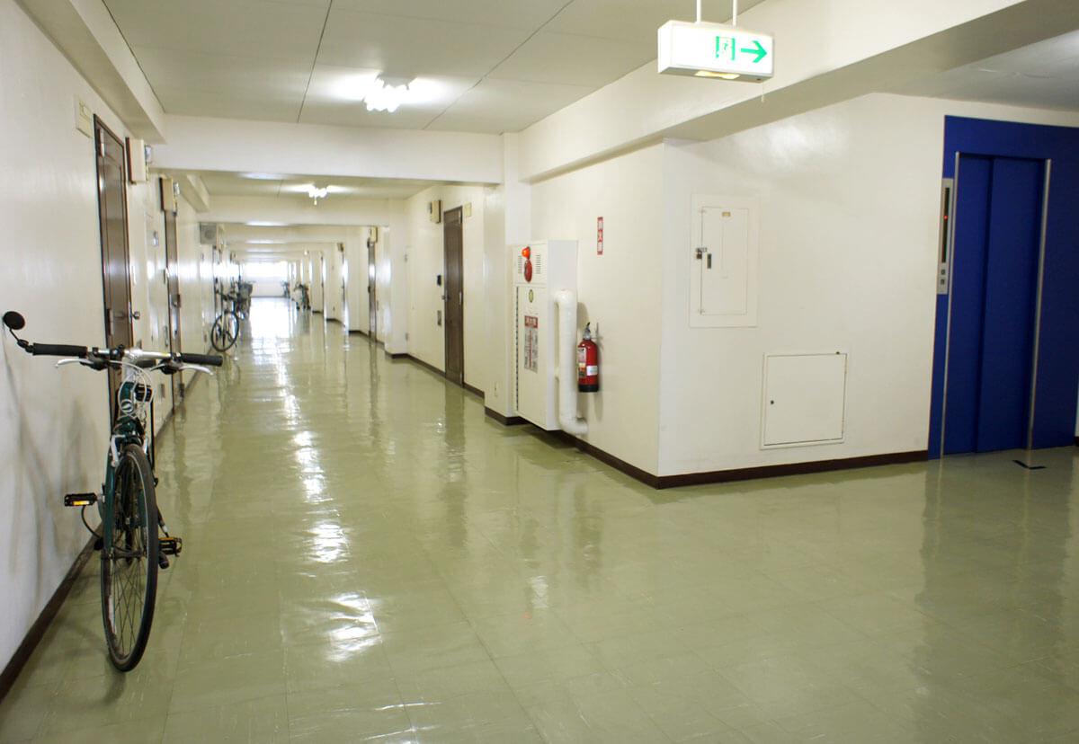 千葉県市川市行徳駅前の賃貸物件/共用廊下