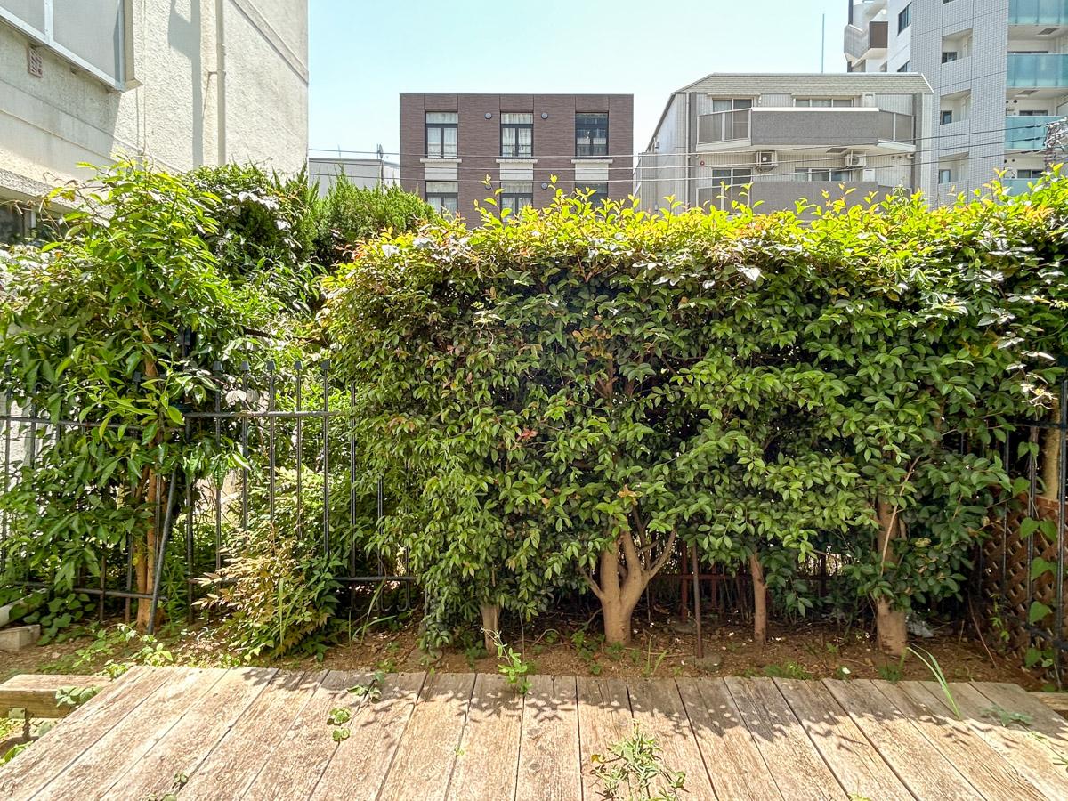 渋谷区千駄ヶ谷の賃貸物件/目の前は植栽に囲まれているため、周囲の目は気になりません