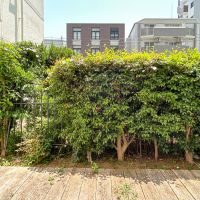 渋谷区千駄ヶ谷の賃貸物件/目の前は植栽に囲まれているため、周囲の目は気になりません
