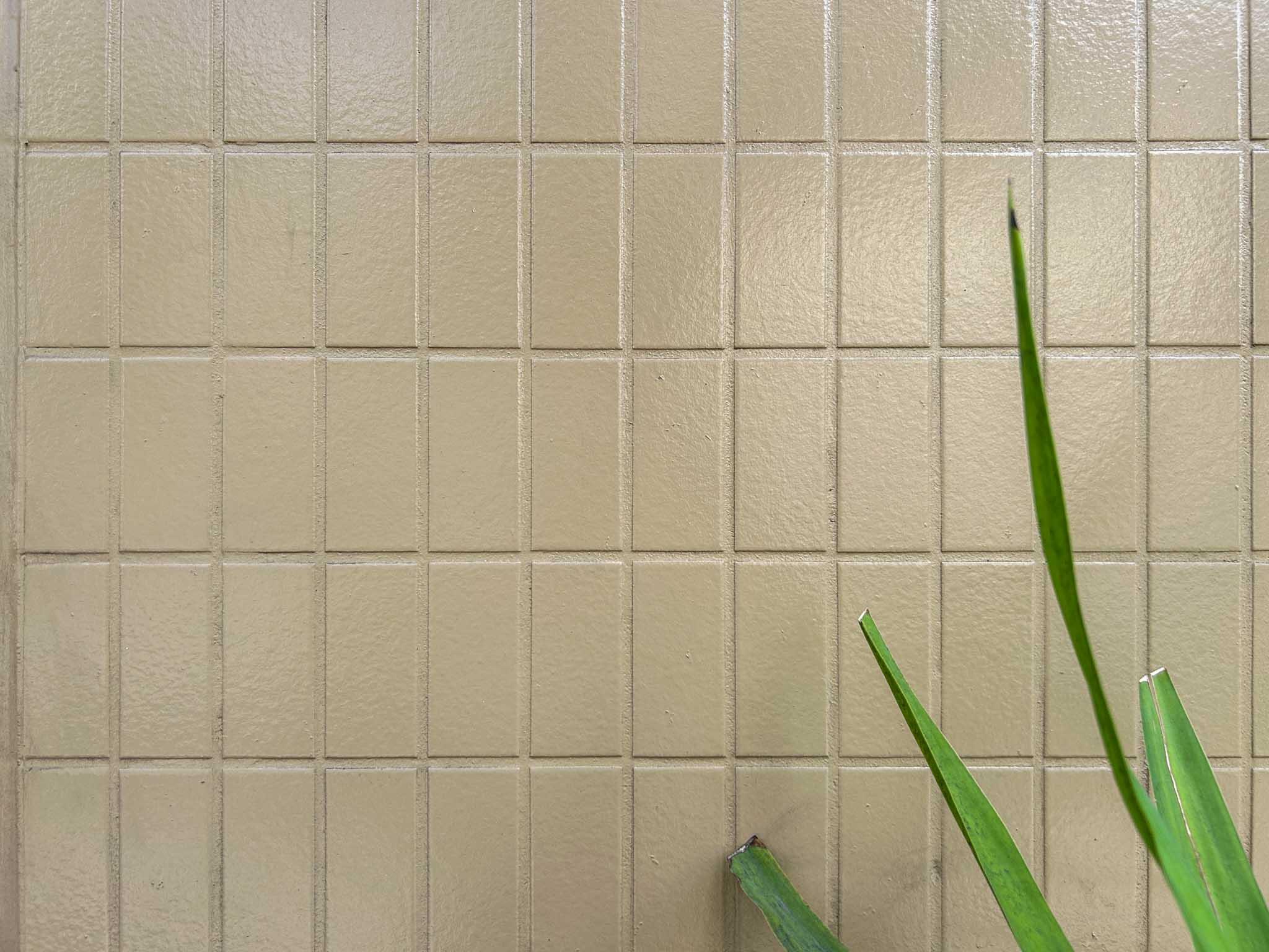 世田谷区世田谷の賃貸物件/外壁タイルの色はベージュ