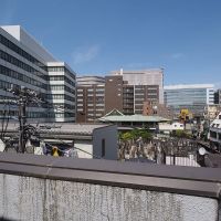 新宿区新宿の賃貸物件/新宿だけどゆったりした風景