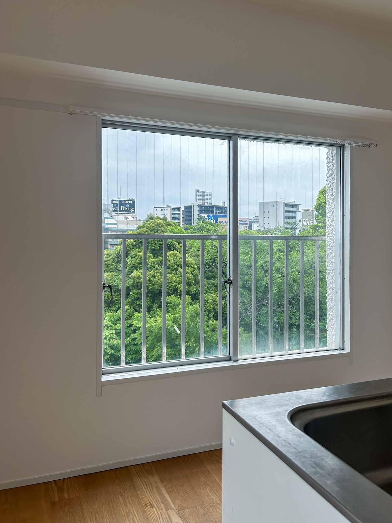 荒川区西日暮里の賃貸物件/キッチンの背後に、もさもさの緑