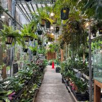 練馬区上石神井の売買物件/植物好きのテーマパーク！？