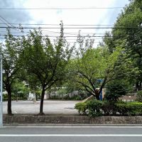 台東区浅草の賃貸物件/建物側から公園をみる