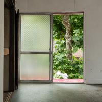 杉並区西荻北の賃貸物件/東側の窓を開けると街路樹が現れます