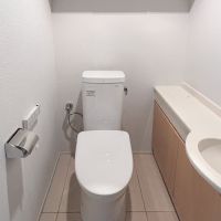 埼玉県富士見野市ふじみ野西の賃貸物件/トイレ