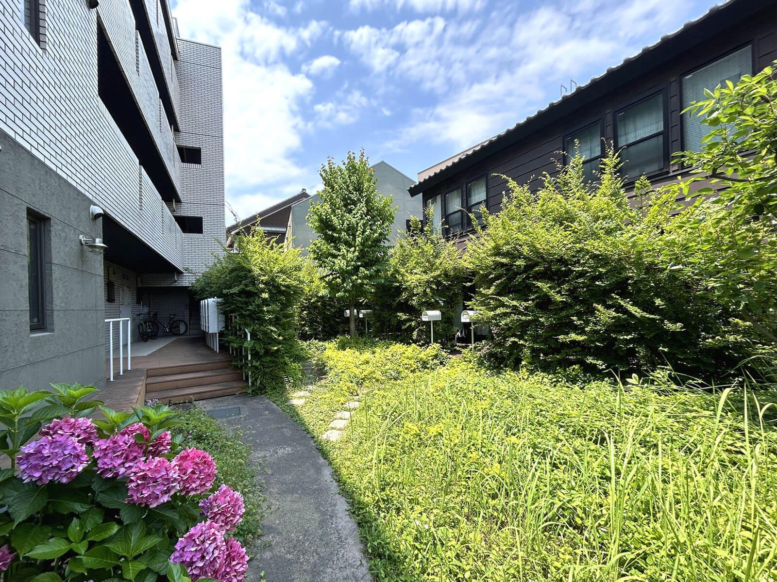 大田区大森中の賃貸物件/中庭の植物たちが季節ごとに表情を変えて出迎えてくれます