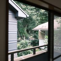 杉並区善福寺の賃貸物件/善福寺公園とは反対側の通りに面した区画ですが、公園を身近に感じる景色