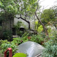 世田谷区代沢の賃貸物件/オーナー住居とこちら側の間に庭があります