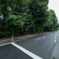 三鷹市下連雀の賃貸物件/緑豊かな通りを歩けば井の頭公園まで4分ほど