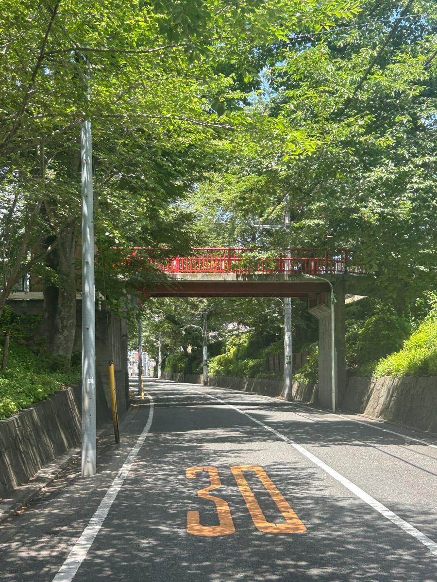 大田区田園調布本町の賃貸物件/目の前の桜坂はどこか趣深い雰囲気