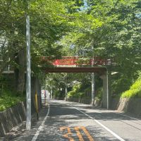 大田区田園調布本町の賃貸物件/目の前の桜坂はどこか趣深い雰囲気