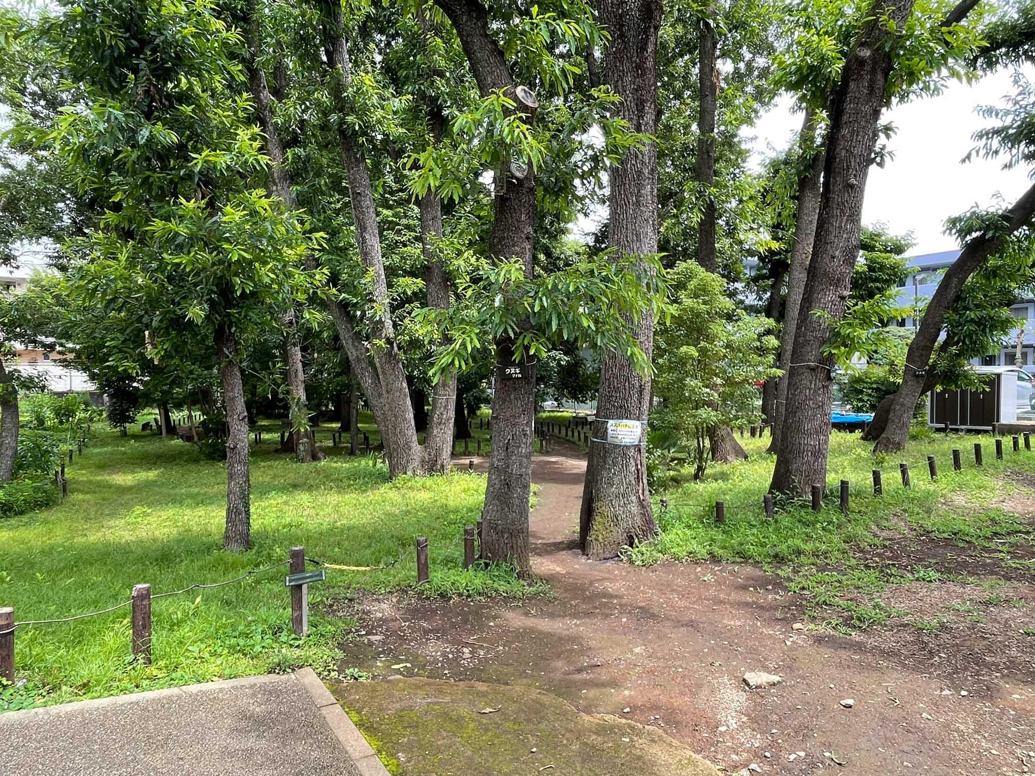練馬区関町北の賃貸物件/マンションの前の公園