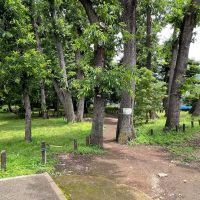 練馬区関町北の賃貸物件/マンションの前の公園