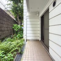 東京都渋谷区神泉町の賃貸物件/キッチン側の庭