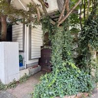 練馬区石神井台の売買物件/塀や花壇を撤去すれば、ちいさな車は置ける可能性も。白い塀は少し傾いているので撤去を検討した方が安全かも