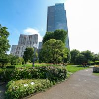 港区赤坂の賃貸物件/目の前の檜町公園。この公園を抜けると東京ミッドタウン