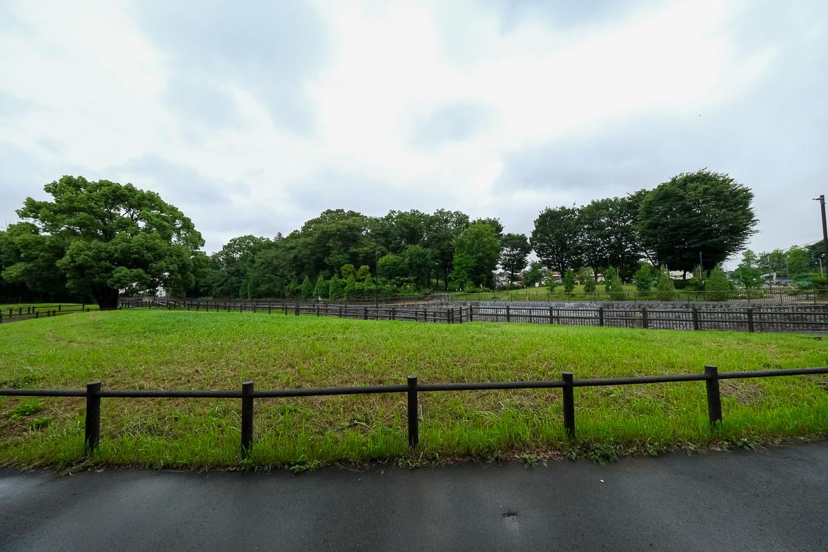 杉並区堀ノ内の賃貸物件/窓のすぐ先は川沿いの遊歩道と芝生の広場