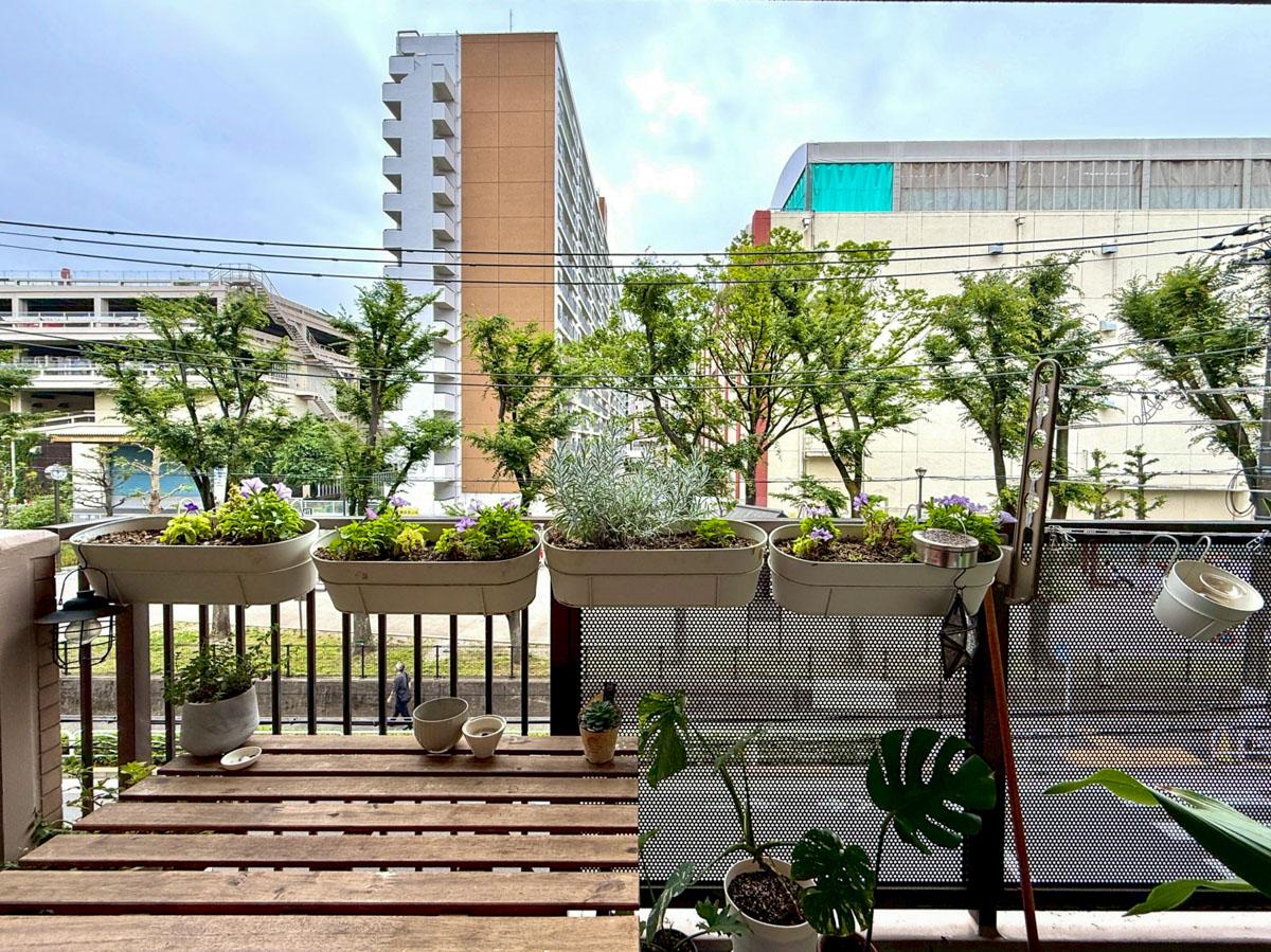 江東区福住の売買物件/バルコニーからは緑道のように細長い形の亀掘公園を眺められる