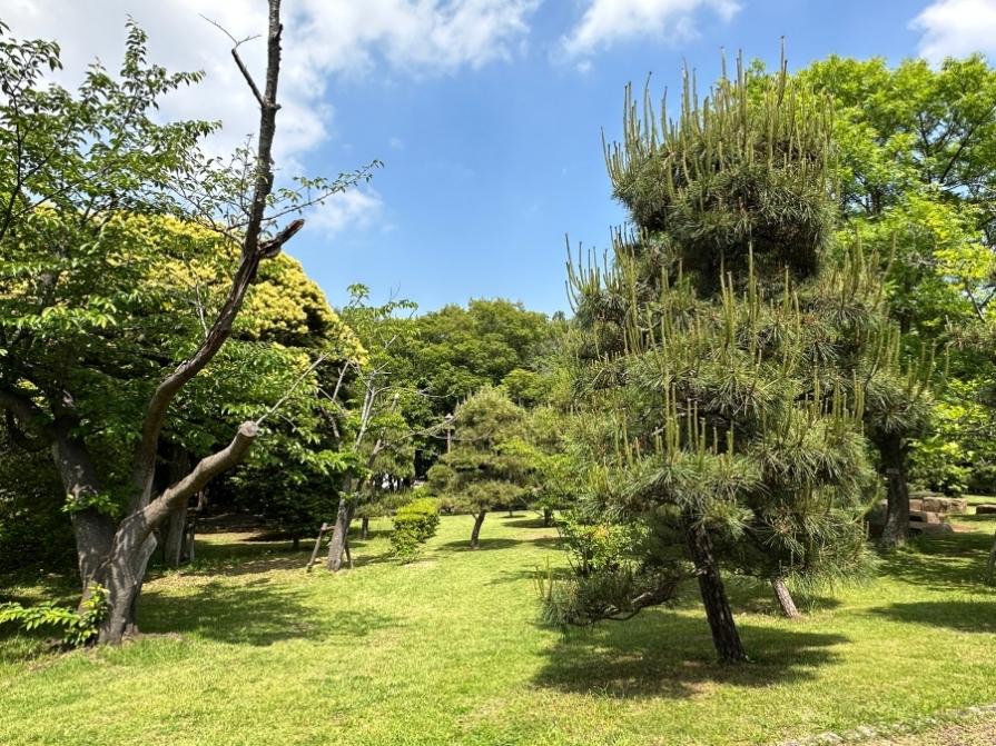 茅ヶ崎市茅ヶ崎二丁目の売買物件/第一カッターきいろ公園（茅ヶ崎中央公園）｜四季折々の木々が植えられています