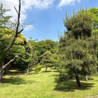 茅ヶ崎市茅ヶ崎二丁目の売買物件/第一カッターきいろ公園（茅ヶ崎中央公園）｜四季折々の木々が植えられています