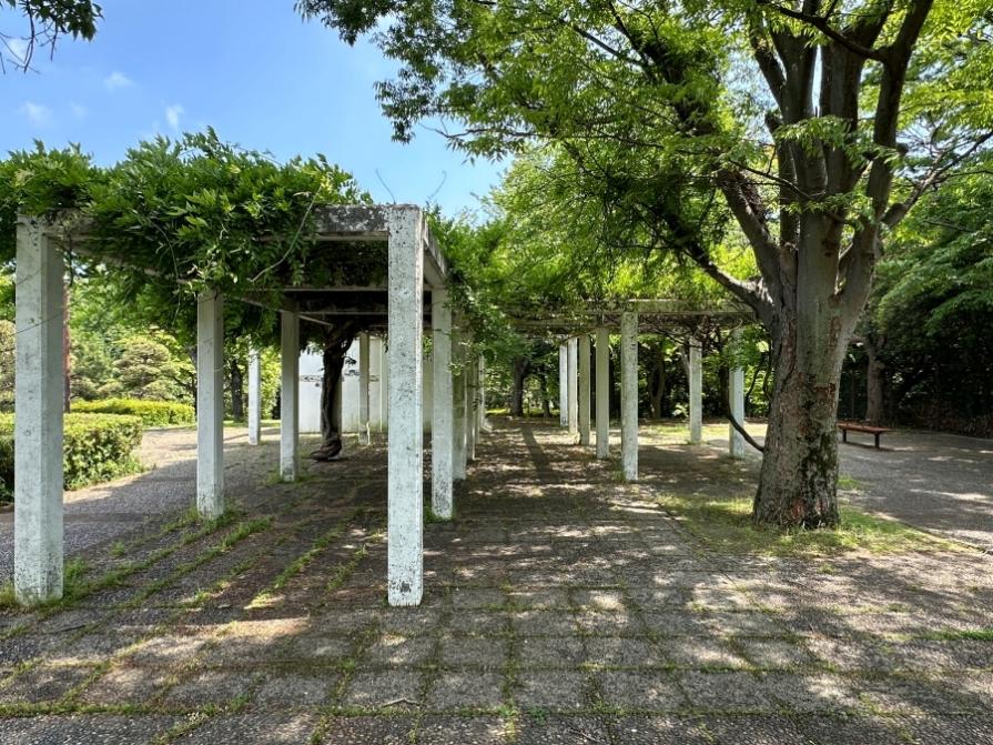 茅ヶ崎市茅ヶ崎二丁目の売買物件/第一カッターきいろ公園（茅ヶ崎中央公園）｜藤棚の下でひと休み