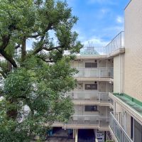 渋谷区代々木の賃貸物件/南側のバルコニーの前には、力強く生える大きな木