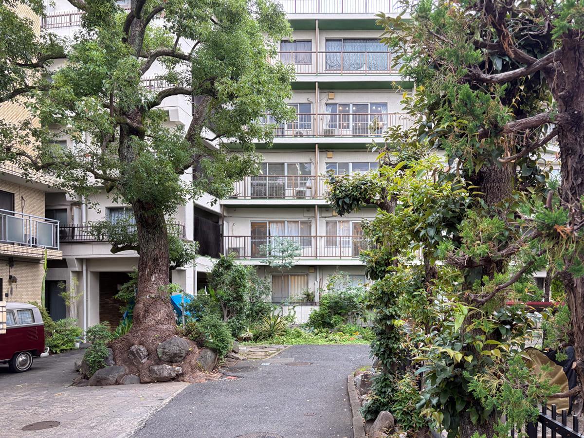 渋谷区代々木の賃貸物件/敷地内には植栽が生い茂り、ここだけ時の流れが違うような雰囲気です