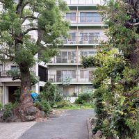 渋谷区代々木の賃貸物件/敷地内には植栽が生い茂り、ここだけ時の流れが違うような雰囲気です