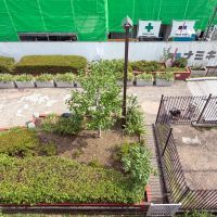 中野区中央の賃貸物件/前面は平和な雰囲気の緑道