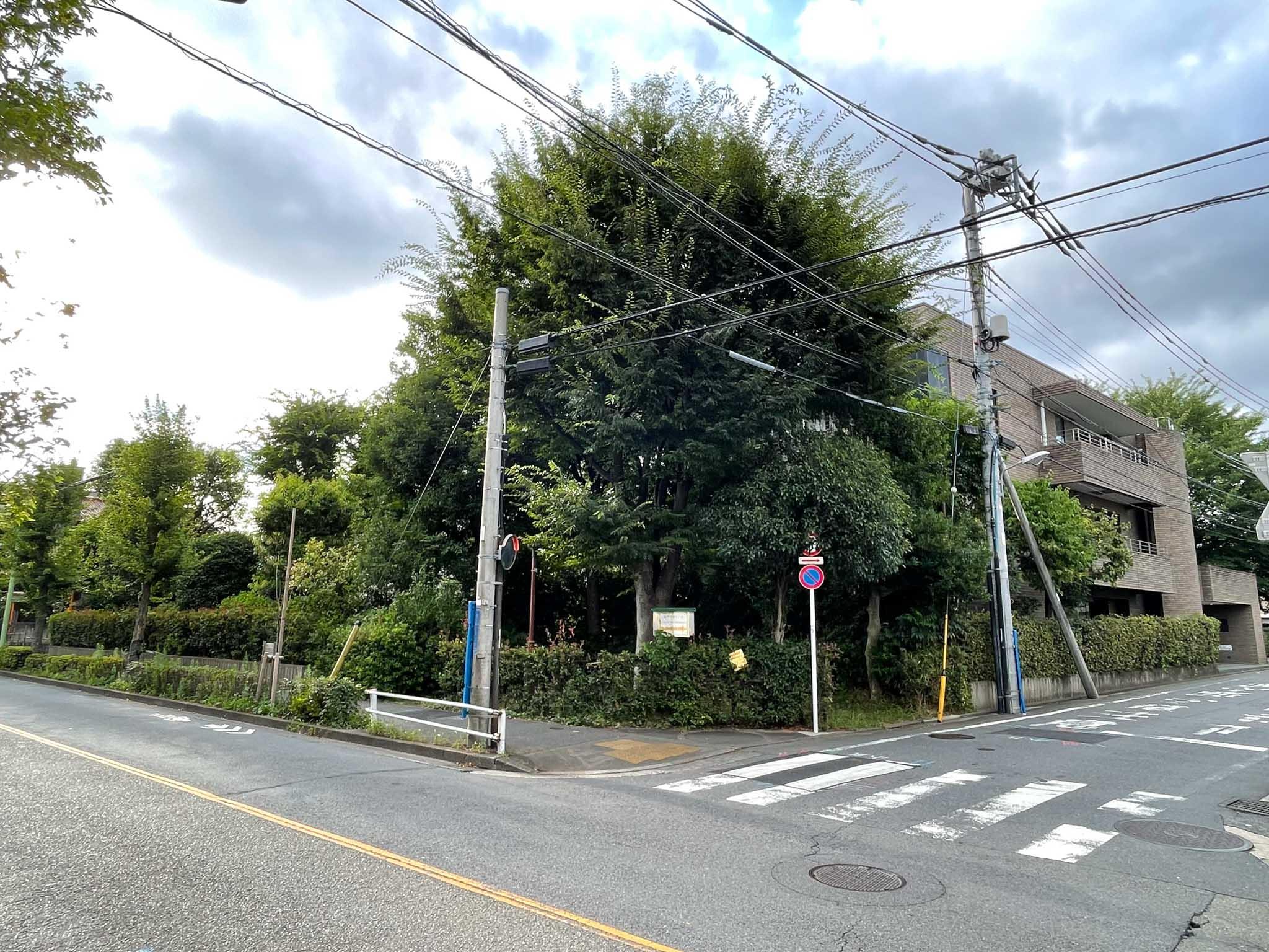 小金井市緑町の賃貸物件/前面道路から。緑で見えないほどです