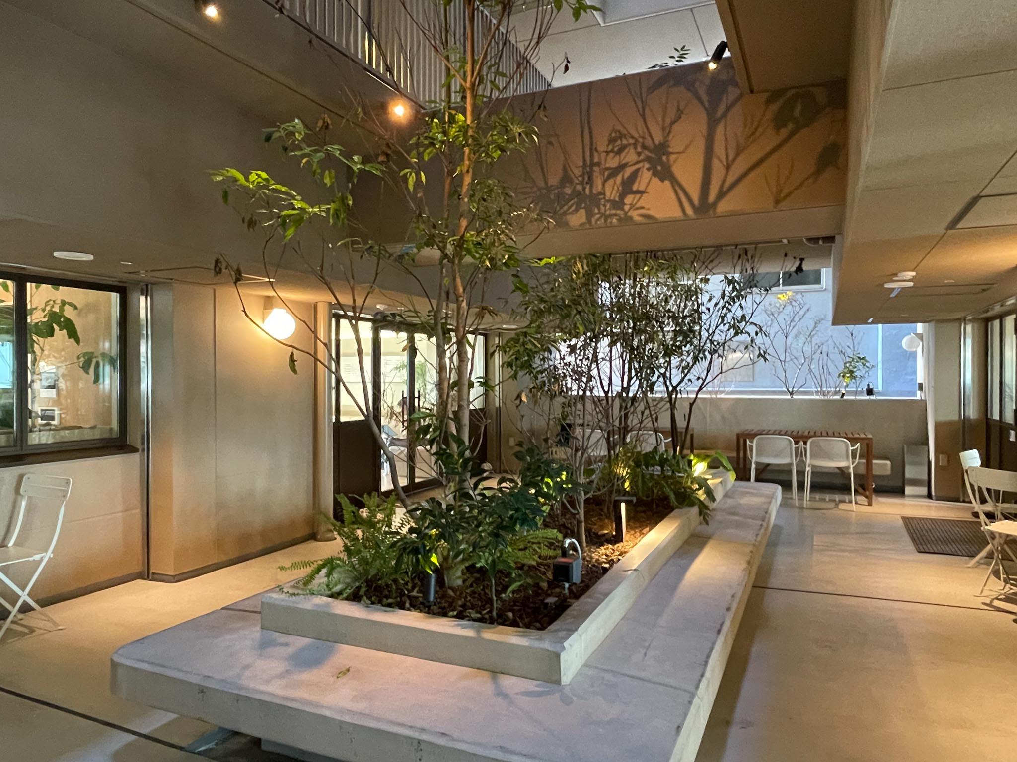 墨田区本所の賃貸物件/ここは、共用部の中心に設けられたガーデン。建物の真ん中に、緑の居場所があります