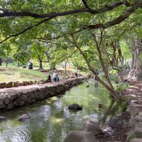 武蔵野市吉祥寺南町の賃貸物件/徒歩5分の井の頭恩賜公園の三角広場。駅と反対側のエリアなので、比較的落ち着いた雰囲気です。