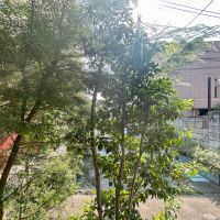 大田区山王の賃貸物件/ベランダの先には植栽