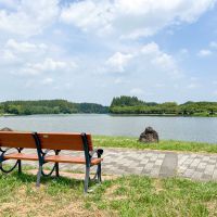 葛飾区東水元の賃貸物件/近所にある水元公園。東京とは思えないほど、豊かで美しい自然が広がっています