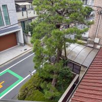 中野区本町の賃貸物件/階段から見た松の木