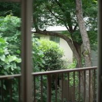 小金井市桜町の賃貸物件/窓から緑を眺める