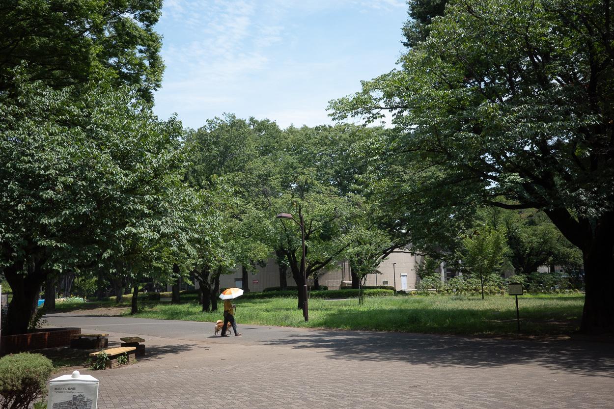 小金井市桜町の賃貸物件/緑豊かな小金井公園までも徒歩5分ほど