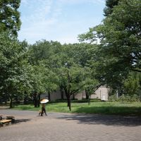 小金井市桜町の賃貸物件/緑豊かな小金井公園までも徒歩5分ほど