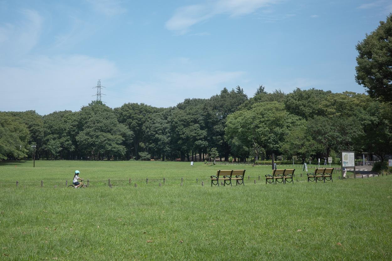 小金井市桜町の賃貸物件/休日は芝生の上で寝転ぶのも良いと思います