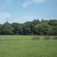 小金井市桜町の賃貸物件/休日は芝生の上で寝転ぶのも良いと思います