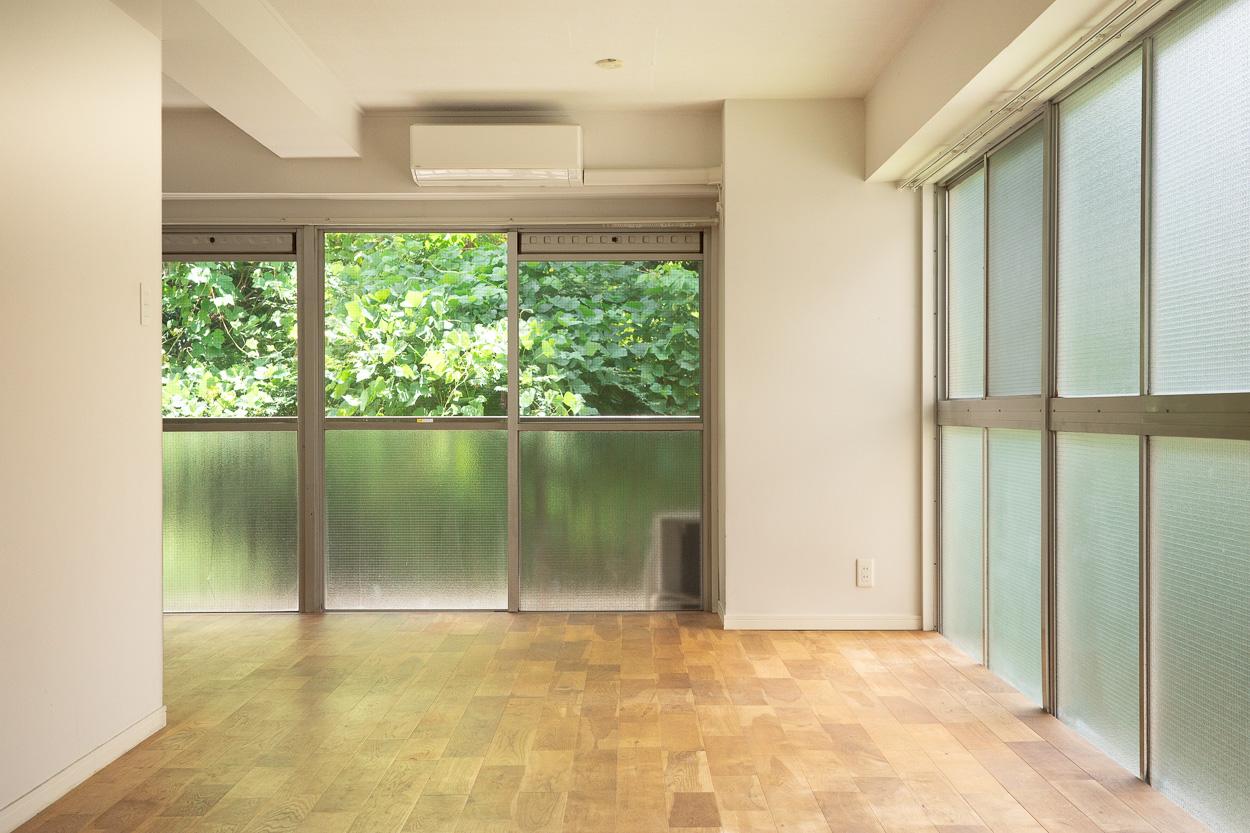 小金井市桜町の賃貸物件/観葉植物いらず。窓の外のグリーンが主役です