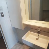 川崎市中原区丸子通の賃貸物件/シンプルな洗面、洗面横は収納