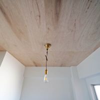 新宿区西早稲田の賃貸物件/洋室の天井はラワン材