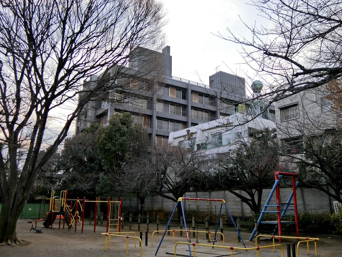 隣接している公園からの外観